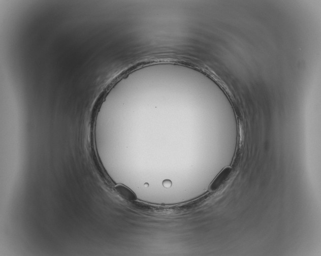 X0000112750301200908201019