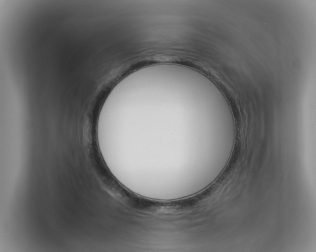 X0000112750303200908201019