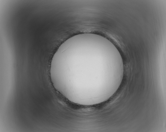 X0000112750307200908201019