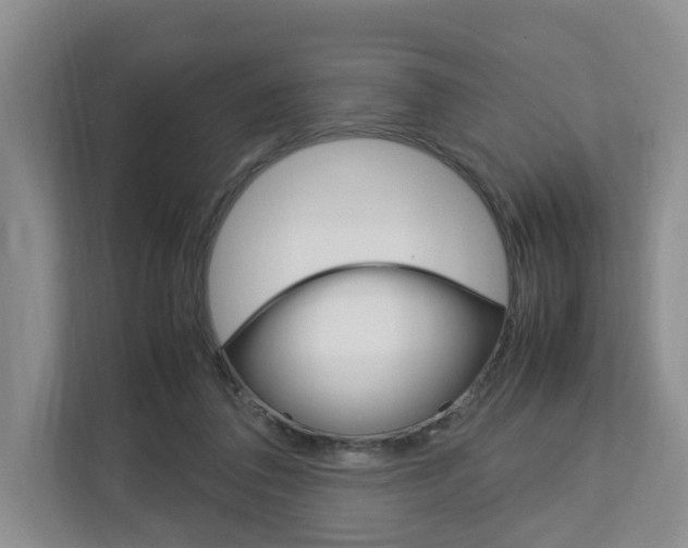 X0000112750308200908201019