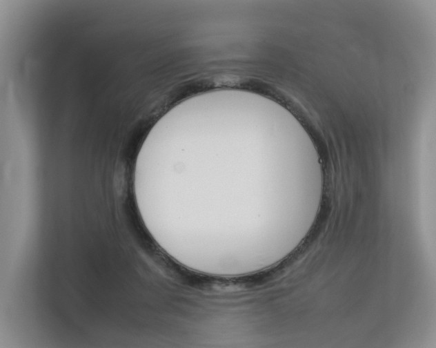 X0000112750311200908201018