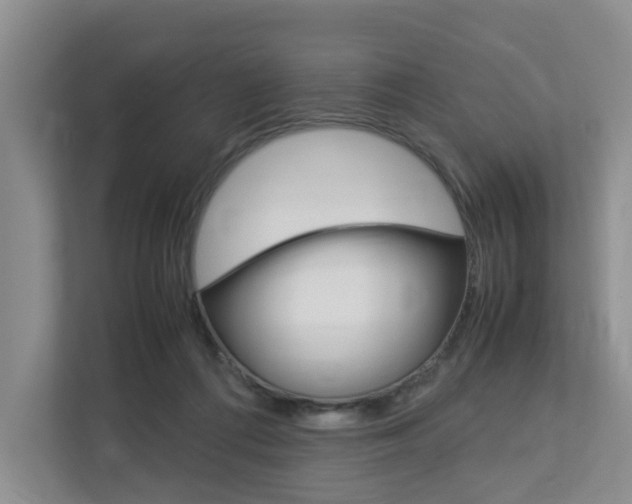 X0000112750312200908201018
