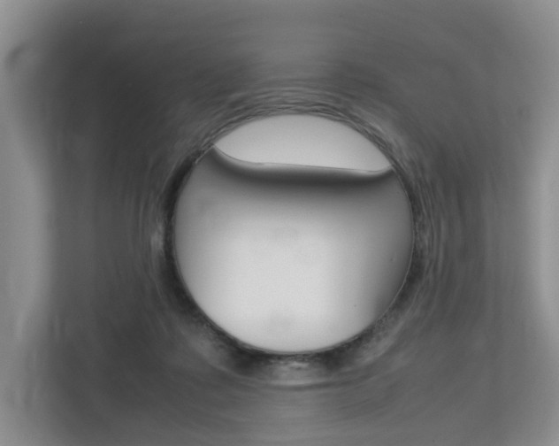 X0000112750315200908201018