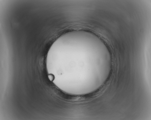 X0000112750319200908201018