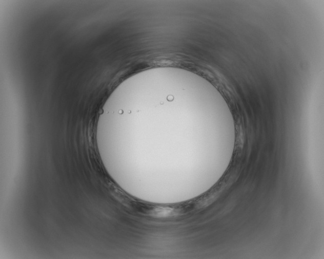 X0000112750326200908201018