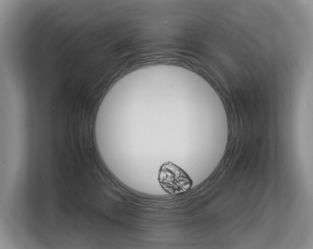 X0000112750328200908201018