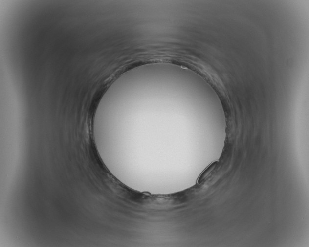 X0000112750329200908201018