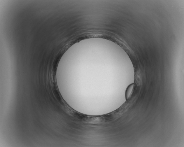 X0000112750330200908201018