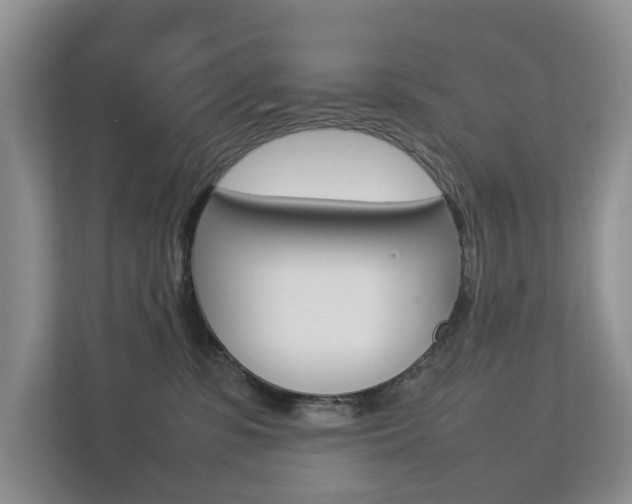 X0000112750331200908201018