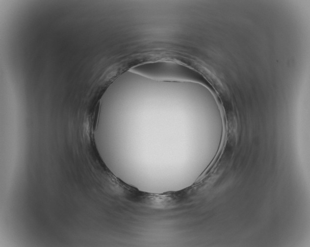 X0000112750333200908201018