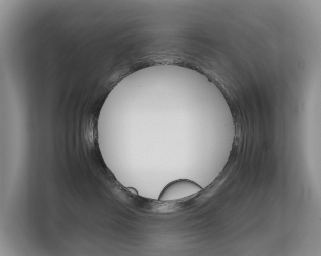 X0000112750334200908201018