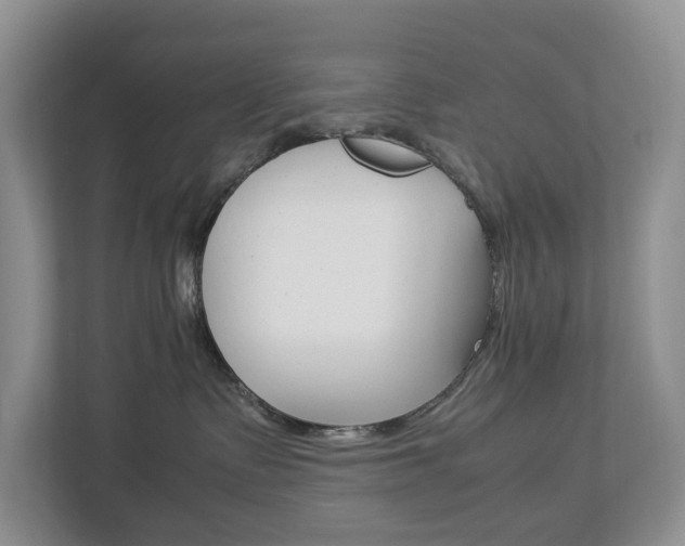 X0000112750335200908201018