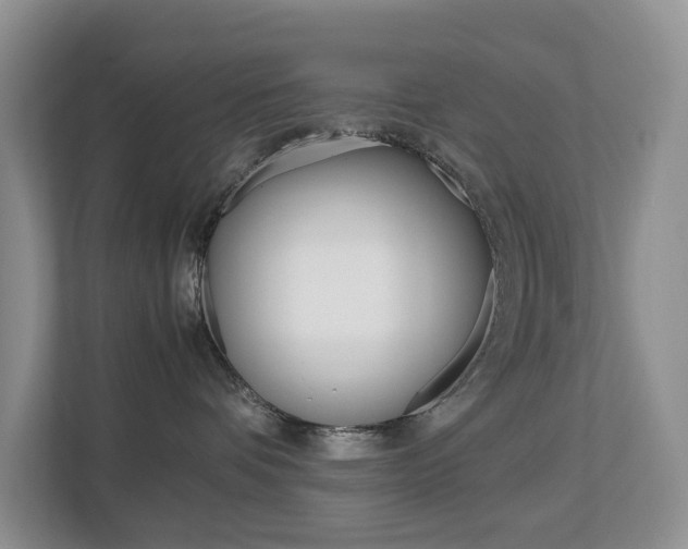 X0000112750336200908201018