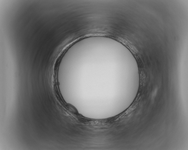 X0000112750338200908201018