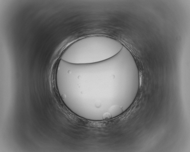 X0000112750339200908201018