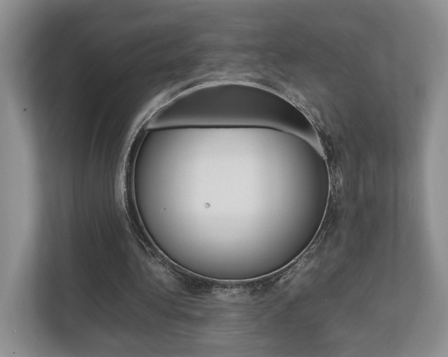 X0000112750340200908201018