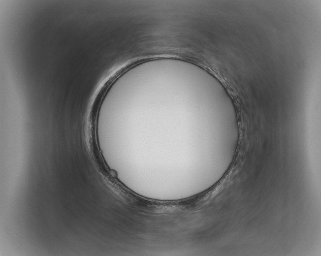 X0000112750342200908201018