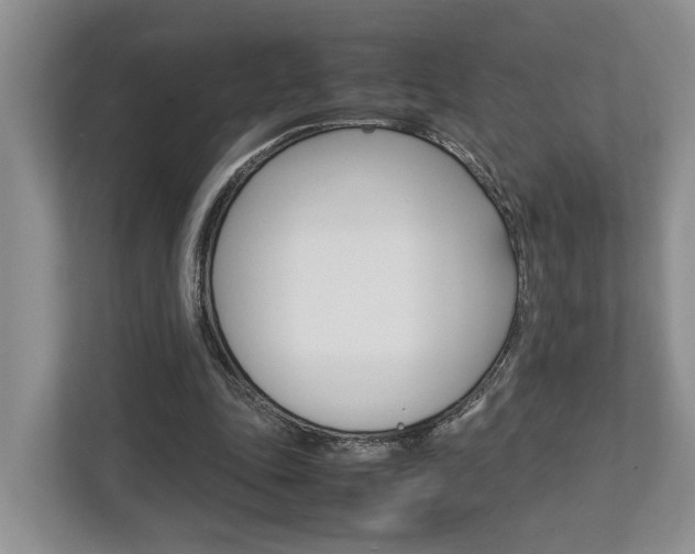 X0000112750343200908201018