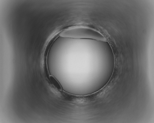 X0000112750344200908201018
