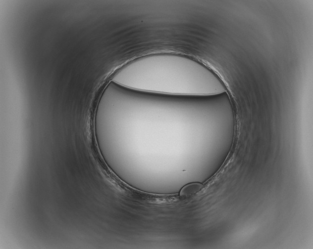 X0000112750345200908201018