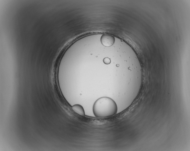 X0000112750346200908201018