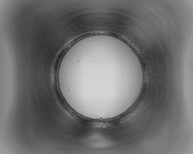 X0000112750347200908201018