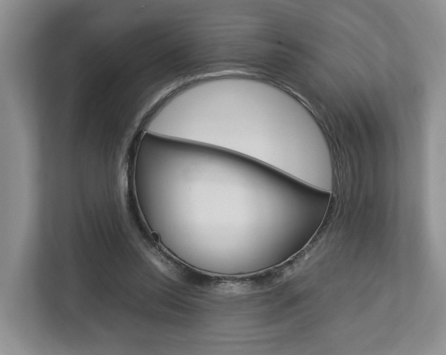 X0000112750350200908201018