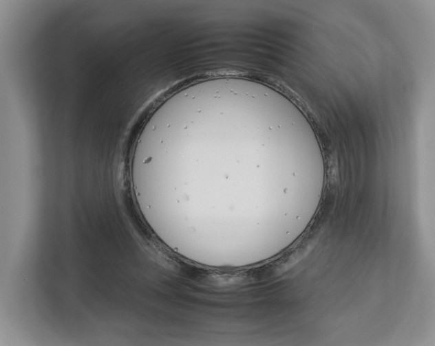 X0000112750351200908201018