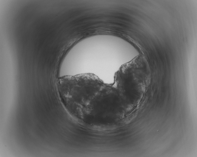 X0000112750353200908201018
