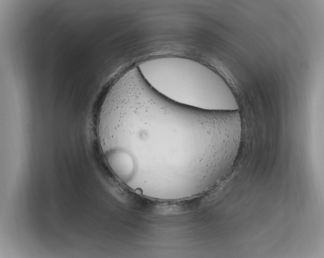 X0000112750354200908201018