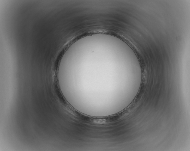 X0000112750355200908201018