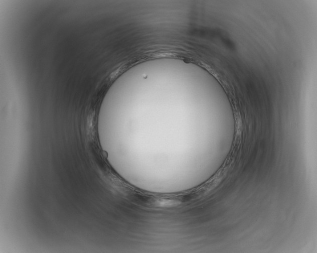 X0000112750360200908201018