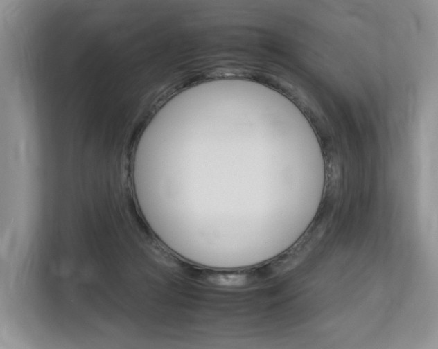 X0000112750361200908201018