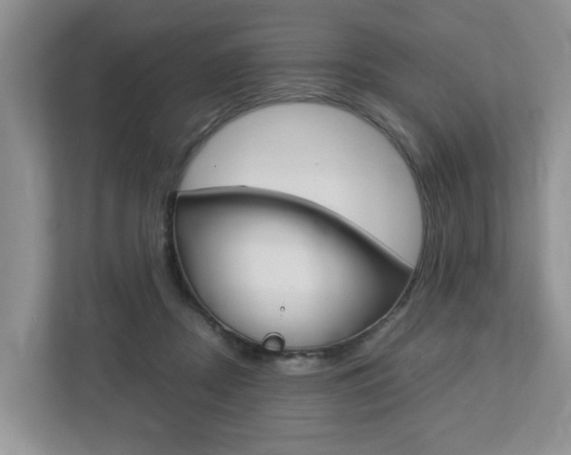 X0000112750362200908201018