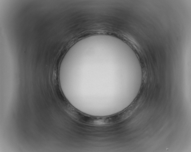 X0000112750365200908201018