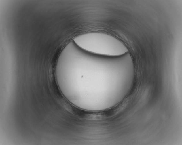 X0000112750366200908201018