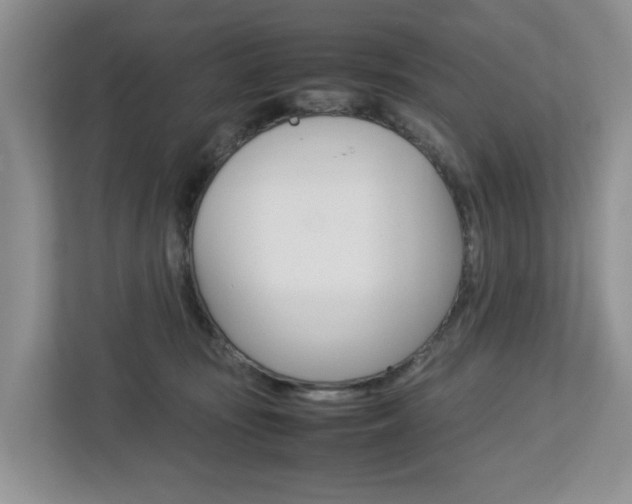 X0000112750371200908201018