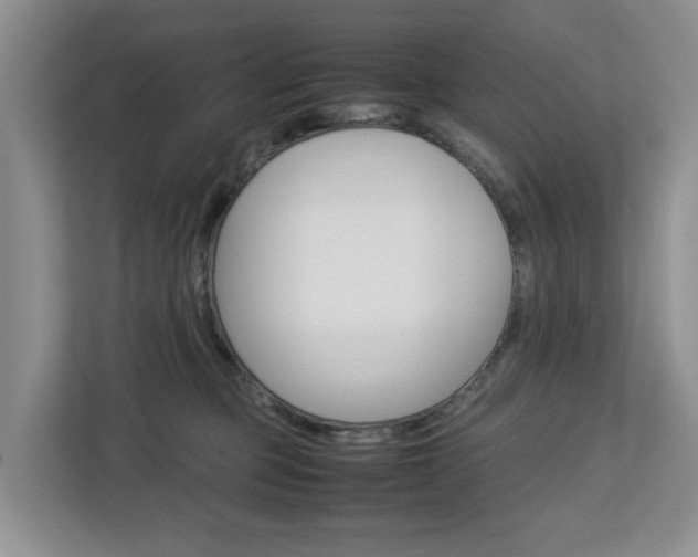 X0000112750373200908201018