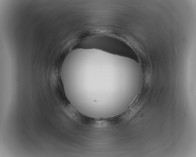 X0000112750376200908201018