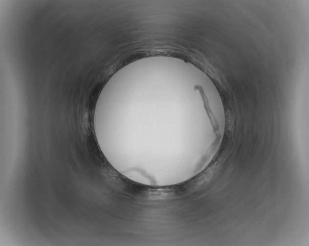 X0000112750378200908201018