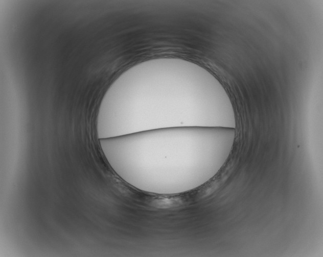 X0000112750379200908201018