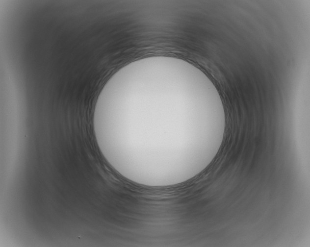 X0000112750380200908201018