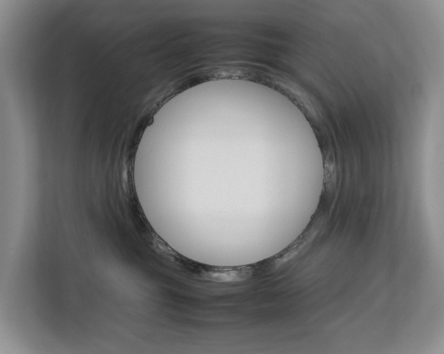 X0000112750381200908201018
