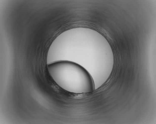 X0000112750382200908201018