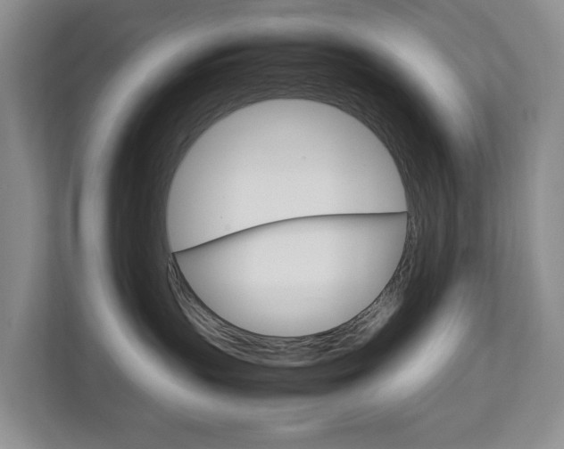 X0000112750383200908201018
