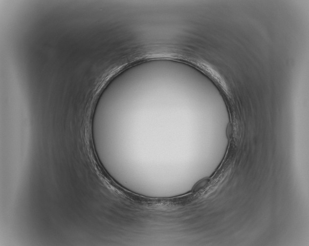 X0000112750385200908201017