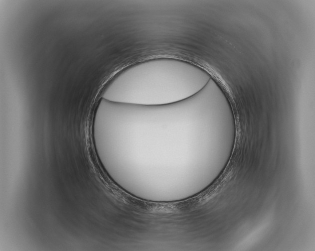 X0000112750386200908201017