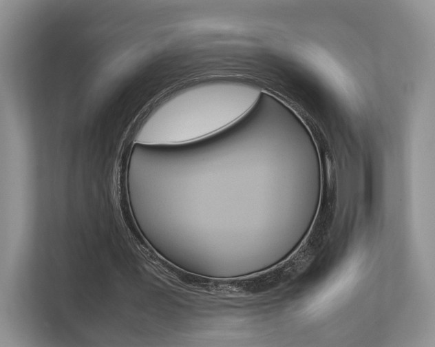 X0000112750387200908201017