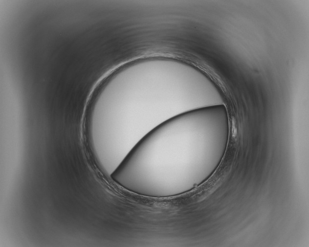 X0000112750388200908201017