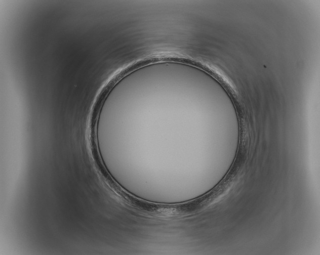 X0000112750391200908201017